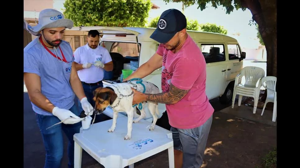 UVZ INICIA SEQUÊNCIA DE 19 PLANTÕES DE COLETA PARA DIAGNÓSTICO DE LEISHMANIOSE CANINA EM PRESIDENTE PRUDENTE
