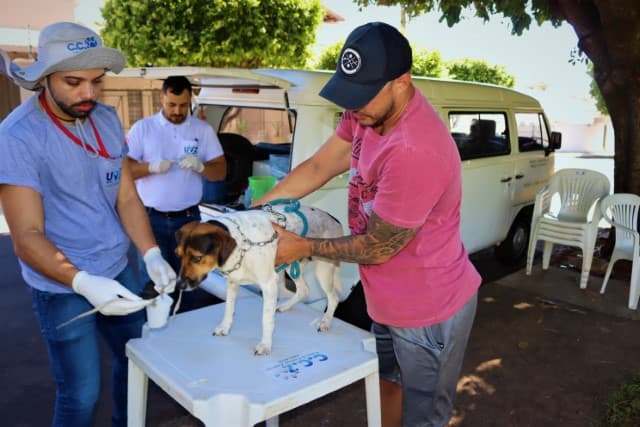 PRESIDENTE PRUDENTE REALIZA 19 PLANTÕES DE EXAMES DE LEISHMANIOSE E MICROCHIPAGEM GRATUITA EM CÃES